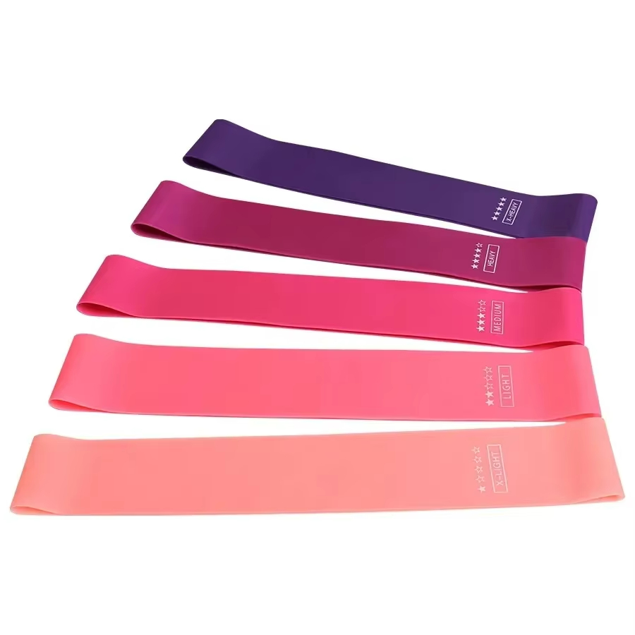 Rubber Resistance Bands Portab - Crossfit Training Gear ulasan dan harga